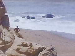 アメリカン クラシック