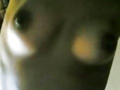 マレー語押印時 takda org キャット umah