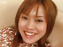 アジアの猫はかかるので良い