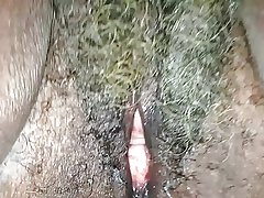 ああシーラ! 灰色のぬれた猫と黒 62 歳のおばあちゃん